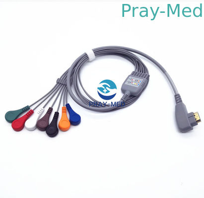DMS υπομονετικός μόλυβδος 5/7/10 καλωδίων Holter ECG 19 καρφίτσα με την εξουσιοδότηση 6 μηνών